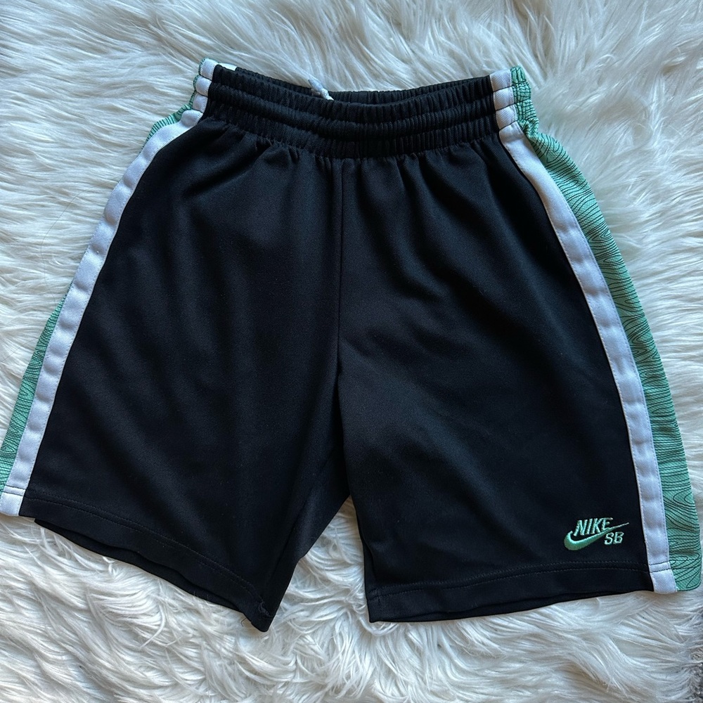 Nike Skateboarding stretch shorts